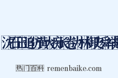沈石田追仿黄大痴长卷为林御史舜举题是什么意思的图片